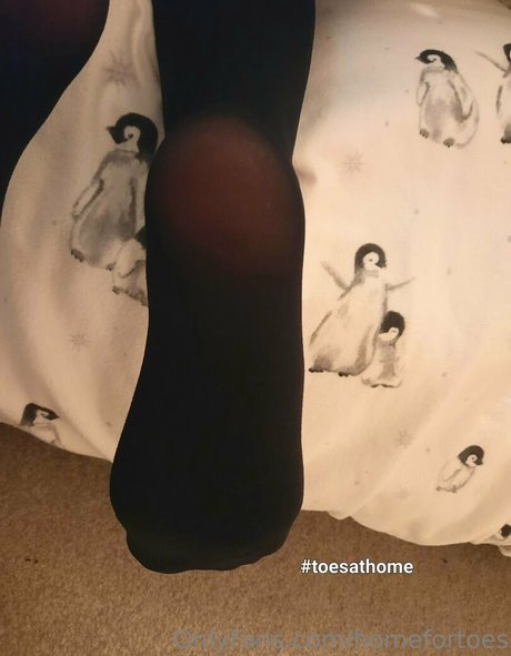 homefortoes schöne hd bilder