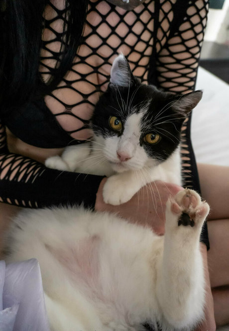 pennykun kunst exklusive bilder