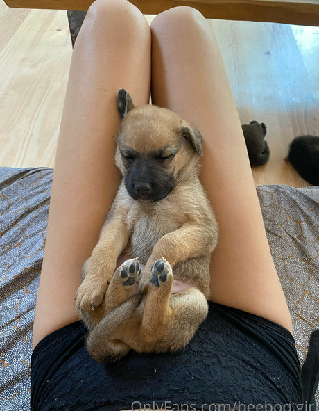 beeboo girl nackt exklusive bilder