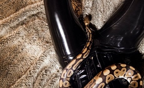 ebenholz-dildo onlyfans hübsche top bild