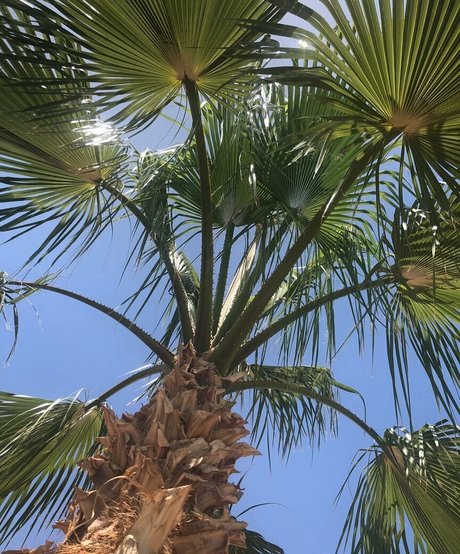 boss-onlyfans nackt top bilder