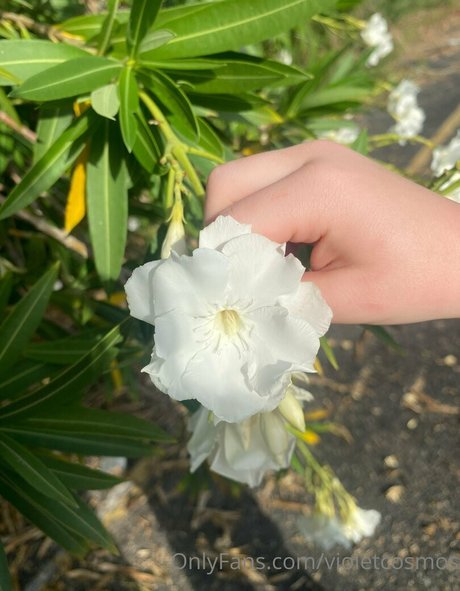 violetcosmos erotische sexy bilder