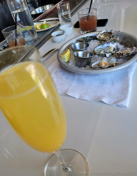 shafunlife pornostar xxx bilder