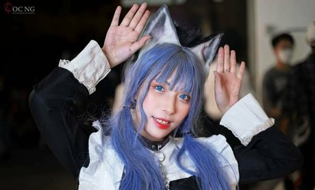 miewmelon beste exklusive galerie