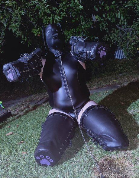 schwarze amerikanische onlyfans heiße erwachsene archiv