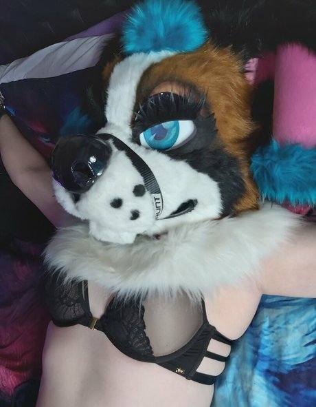 sport onlyfans freie erotische galerie