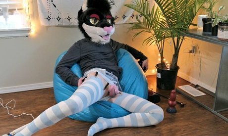 yiffykitty exklusive erotische galerien