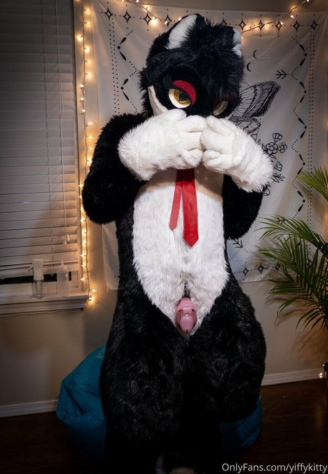 yiffykitty schöne akt bild