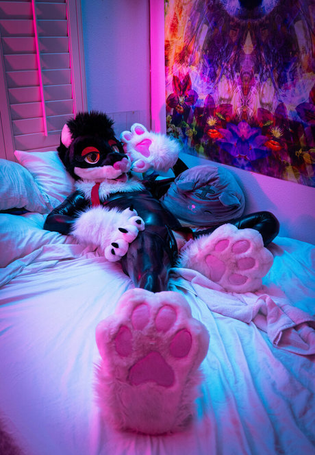 yiffykitty kostenlose sex galerien