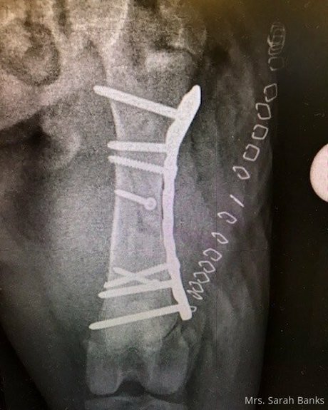 über 50 einzige fans hübsche exklusive foto