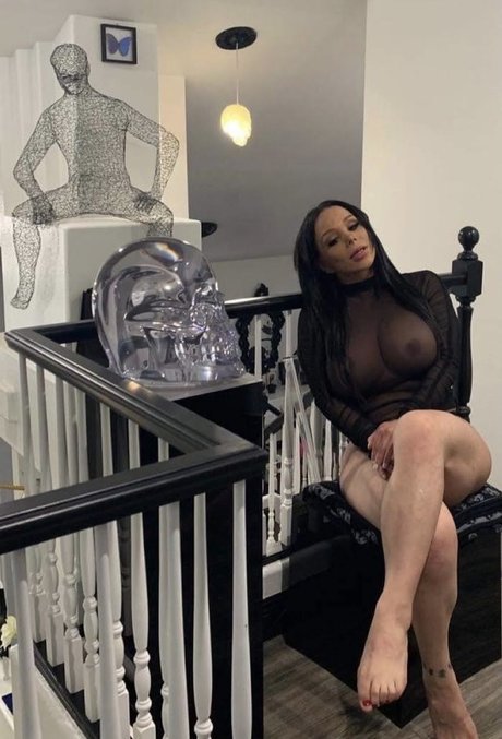 Coralba model top bild