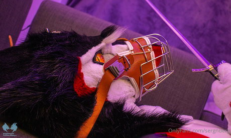 sergnderg schauspielerin kostenlose archiv