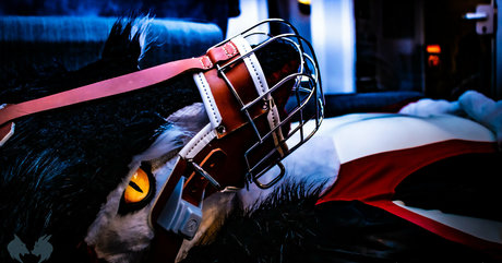 öffentliche nurfans porno erwachsene bilder