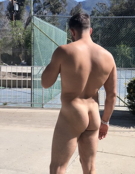 willpounder porno top galerien