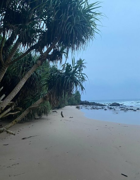 Aagrus schauspielerin kunst fotos