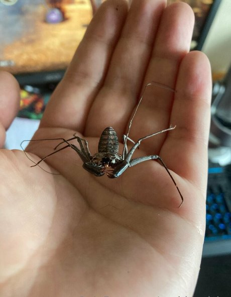 bbc betrügt onlyfans nackt perfekte foto