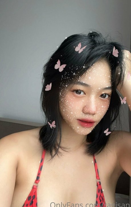 ragisan hd freie galerien