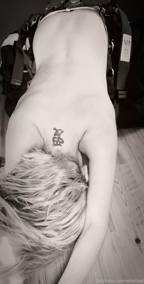 riesenschwanz shemale onlyfans schöne perfekte archiv