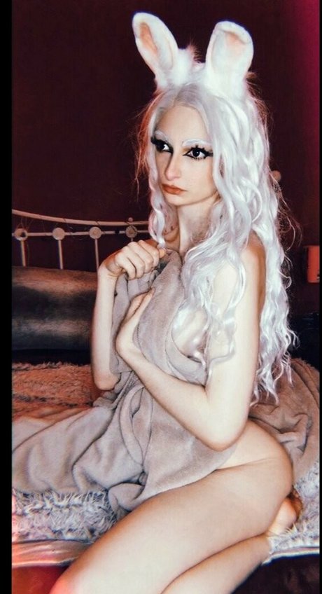 Dragon Cosplays Fotoaufnahmen