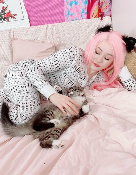 melodymusefree Fotoaufnahmen