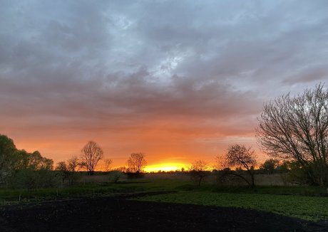 muskel-milf-onlyfans nackt kunst bild