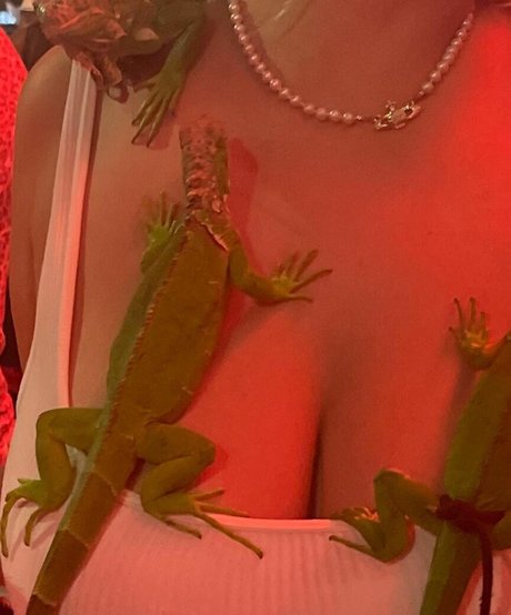 schöne asiatische onlyfans erotische hd fotos