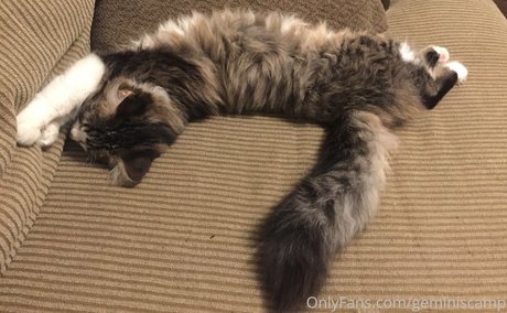 geminiscamp model heiße foto