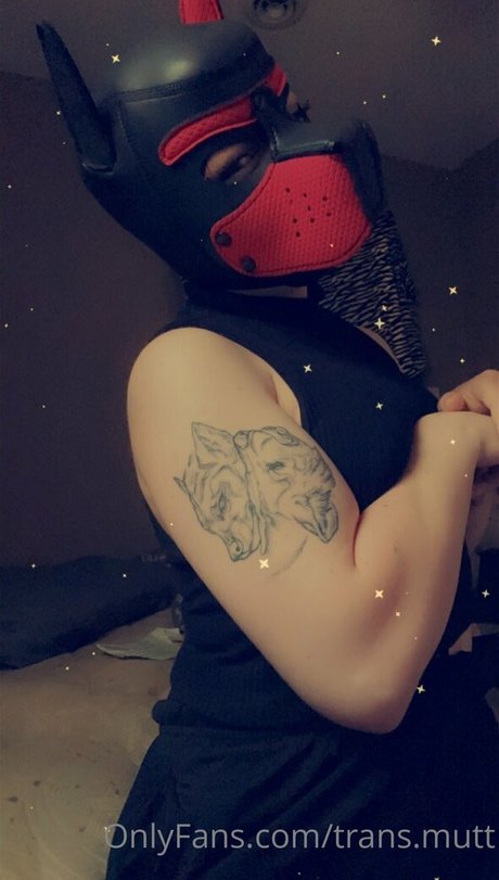 trans mutt hübsche hd bilder