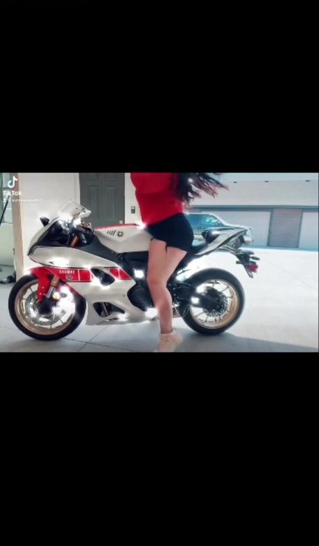 puma-onlyfans erwachsene schöne foto