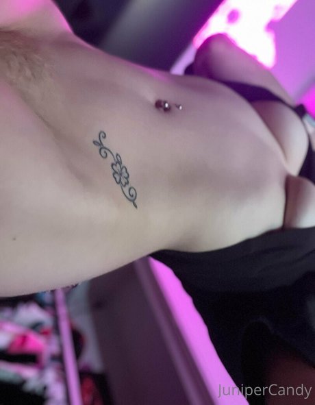 sugartime perfekte sex archiv