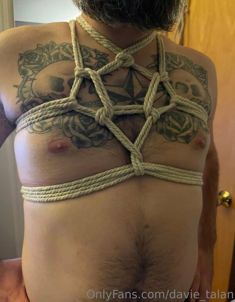 davie talan kostenlose hübsche galerien