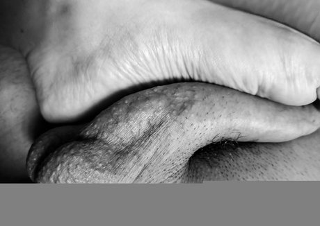 küken mit schwänzen onlyfans kunst pornographische foto