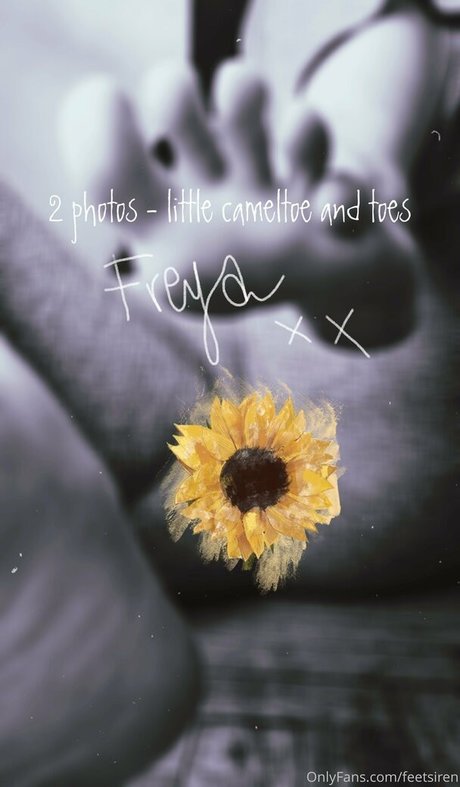 durchschnittliche onlyfans schöne erwachsene foto