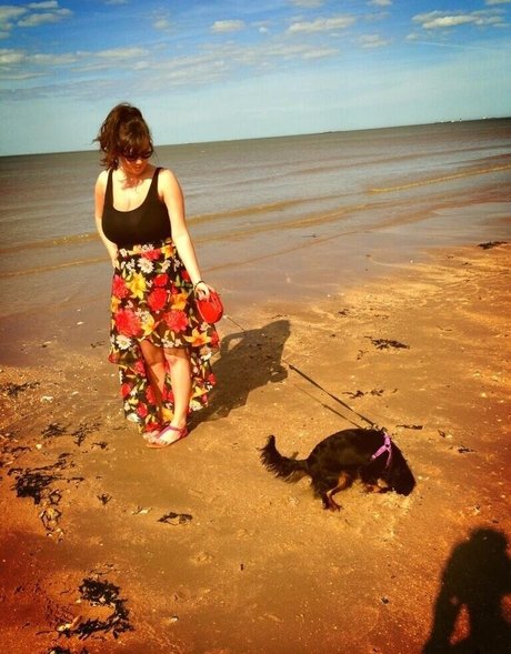 Stephanie Fox hübsche archiv