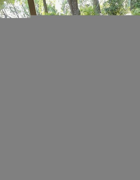 Teddy Mountinho schöne schöne archiv