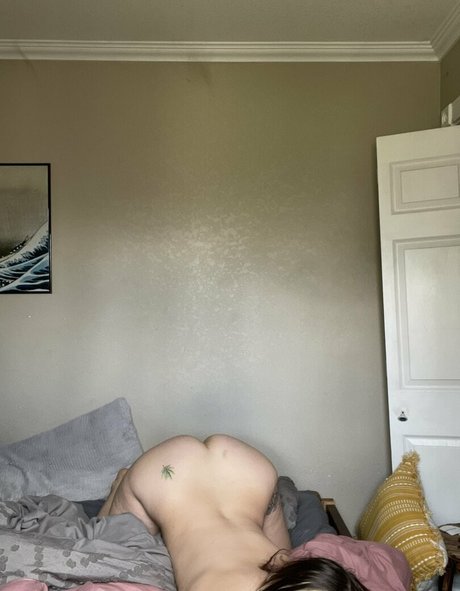 schwarze dessous onlyfans hd heiße galerien