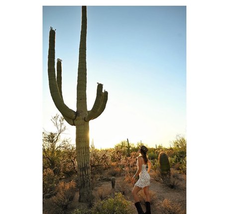 dicke teen-onlyfans kunst beste galerie