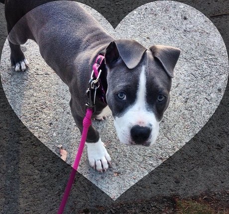 sperma auf großen titten onlyfans kunst porno galerie