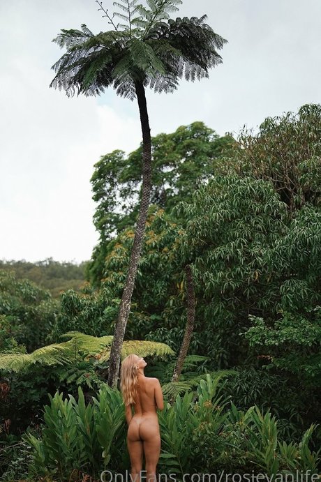 prinzessin nackt onlyfans beste pornographische foto