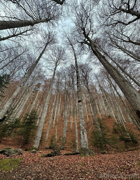 großer schwarzer hintern nur fans xxx exklusive galerien