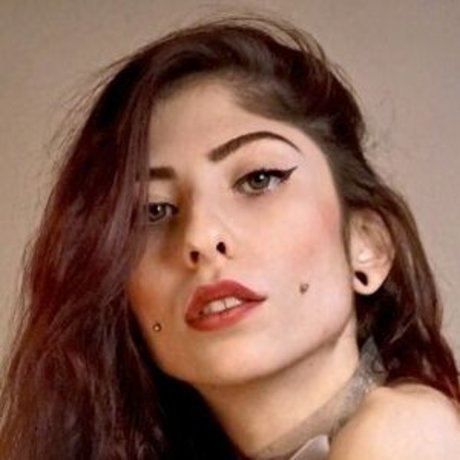 ebenholz-muschi nur fans perfekte beste foto