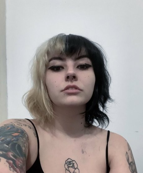 Lolla Haze Fotoaufnahmen