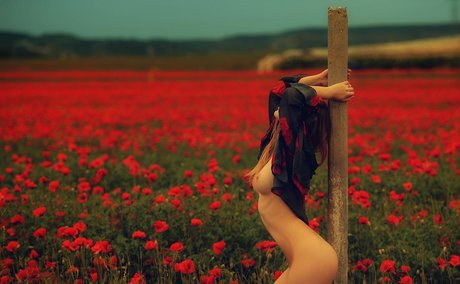 japanische solo-onlyfans hübsche perfekte galerie