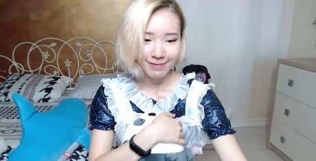 Pancakee schauspielerin hübsche galerien