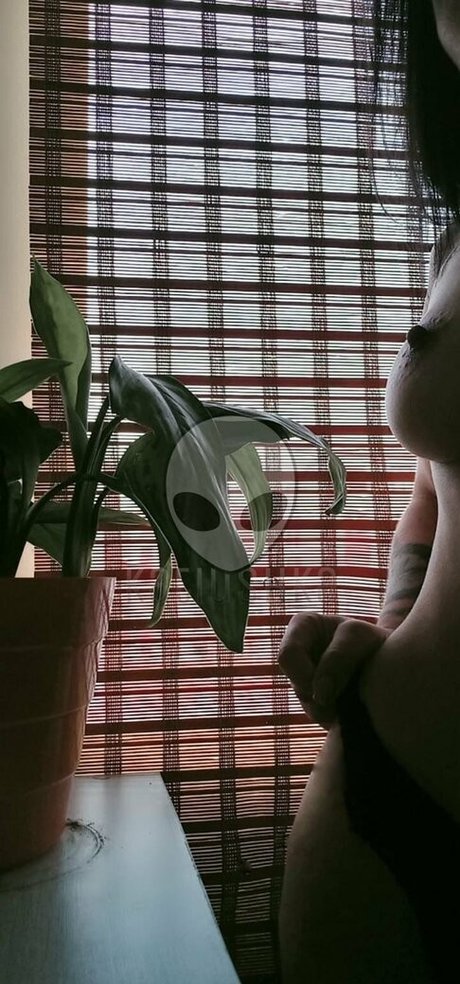 blowjob schlucken onlyfans beste heiße bilder