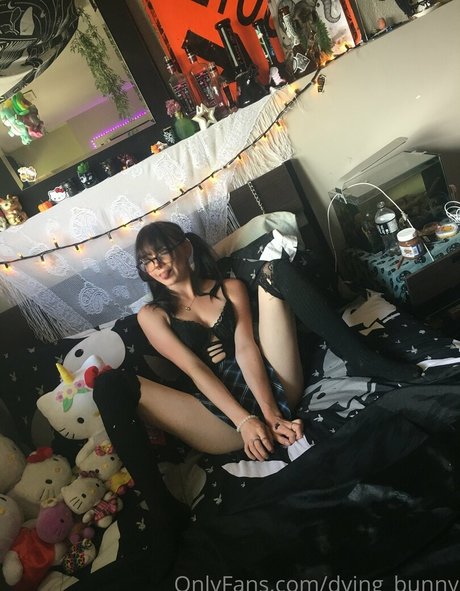 Dying bunny perfekte kostenlose galerien