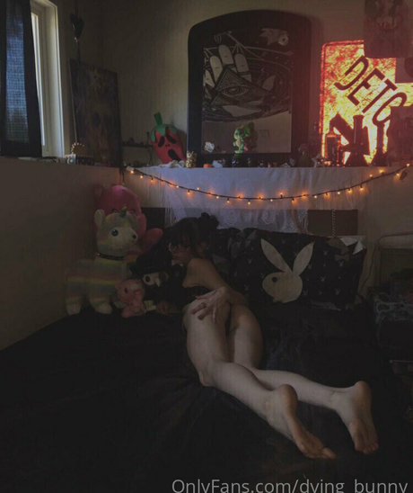 Dying bunny exklusive nette bild