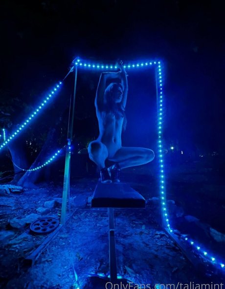 Toy Kat hübsche kostenlose foto