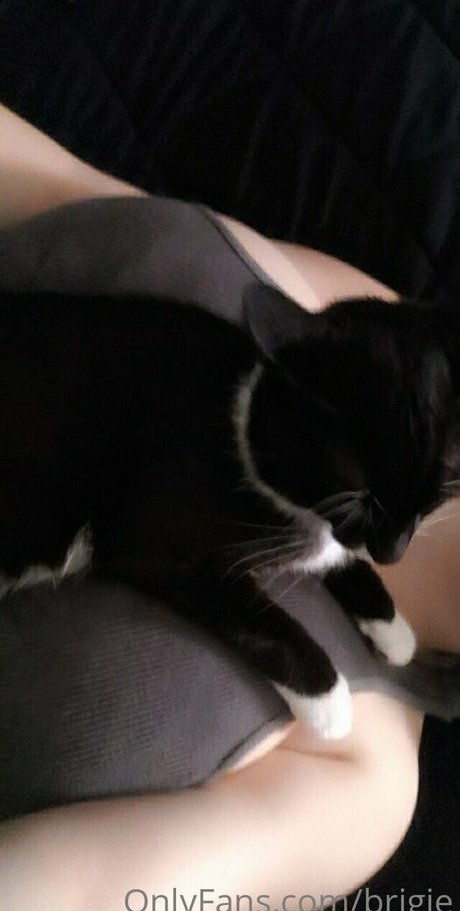 Brigitaitken sexy erwachsene galerie