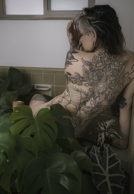 Ashesbardole hd schöne galerie